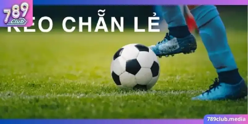 Kèo Chẵn Lẻ Là Kèo Ra Sao? - Đặt Cược Sao Cho Dễ Thắng? 2 Các kèo hấp dẫn trong kèo cược chẵn lẻ