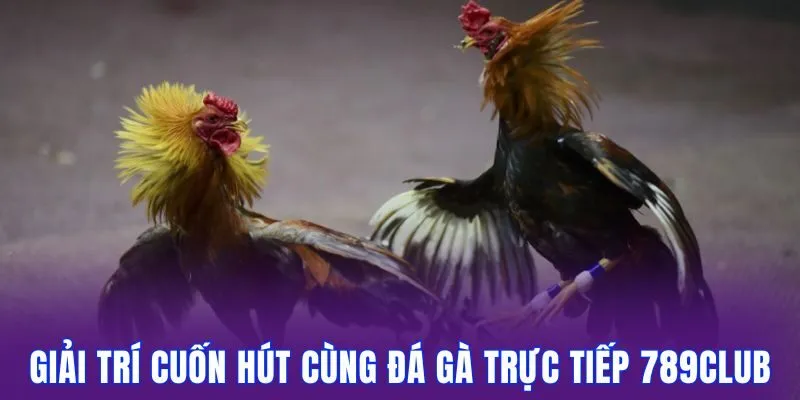 Giải trí cuốn hút cùng đá gà trực tiếp 789club